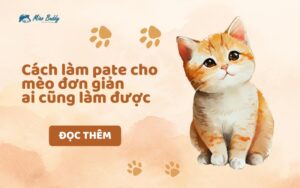 Cách làm pate cho mèo đơn giản ai cũng làm được